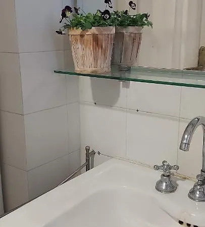 Stylish House In The Center